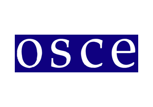 Begoña Piñeiro Costas, OSCE - Organisation for Security and Cooperation in Europe